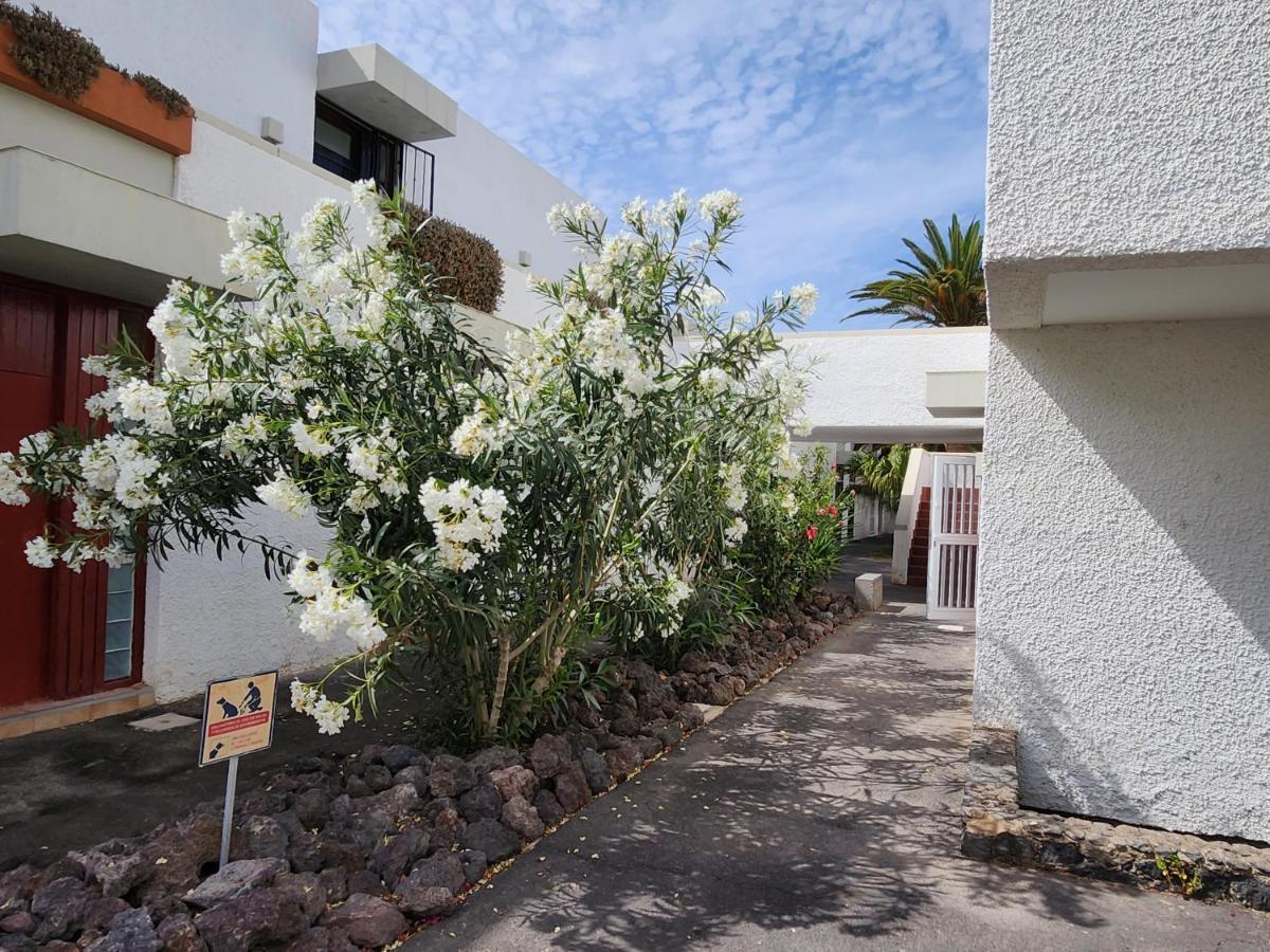 Casa De Mariposas Apartment Costa Del Silencio Luaran gambar